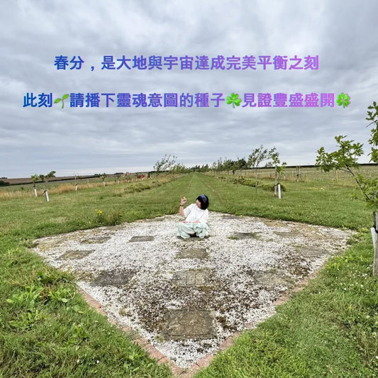 2026 占星隨筆:【顯化實踐：重新編寫人生劇本】