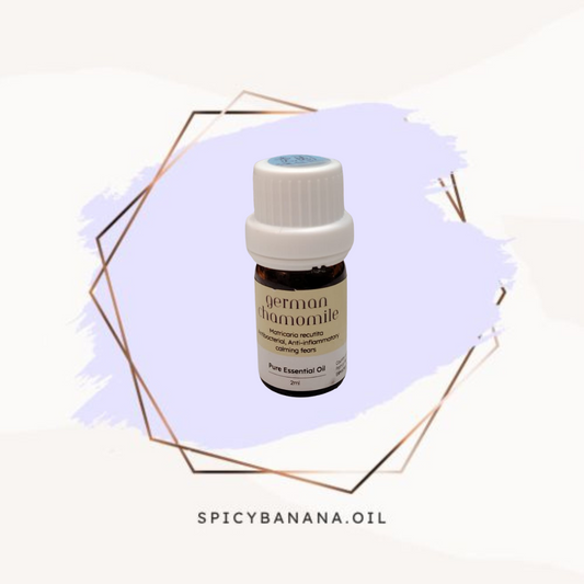 德國洋甘菊‧German Chamomile‧純精油
