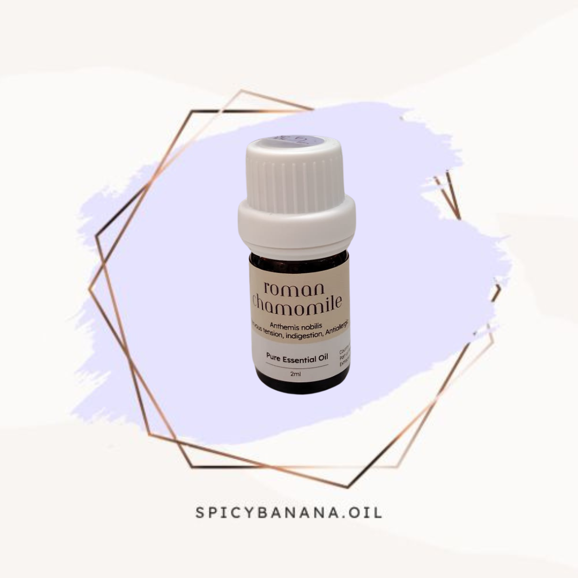 羅馬洋甘菊‧Roman Chamomile‧純精油