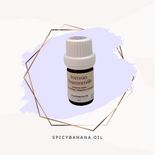 羅馬洋甘菊‧Roman Chamomile‧純精油